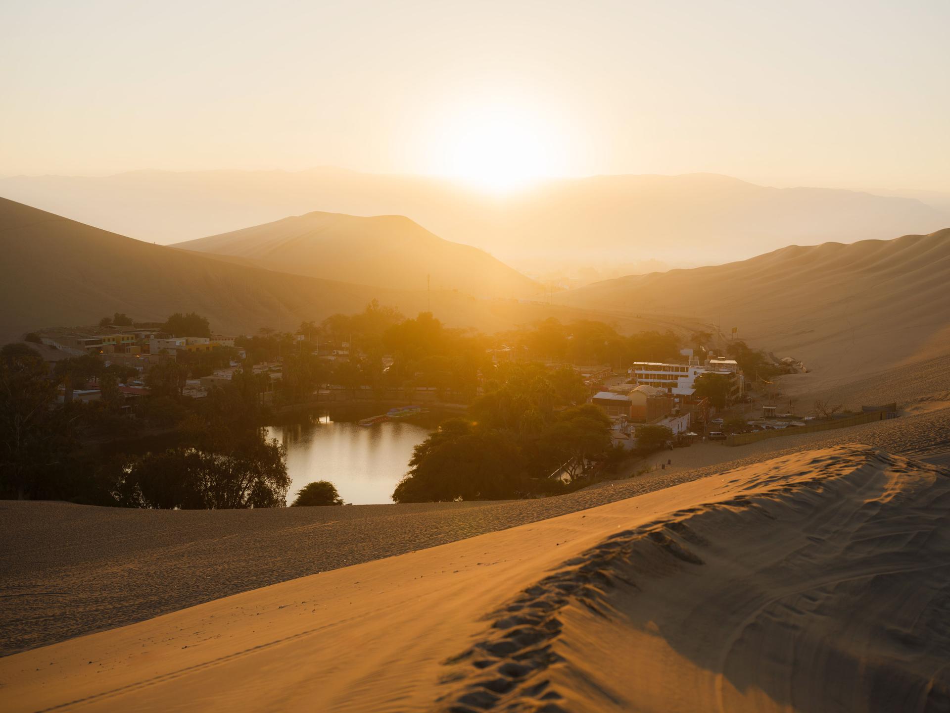 Scenic view of serene oasis in the desert